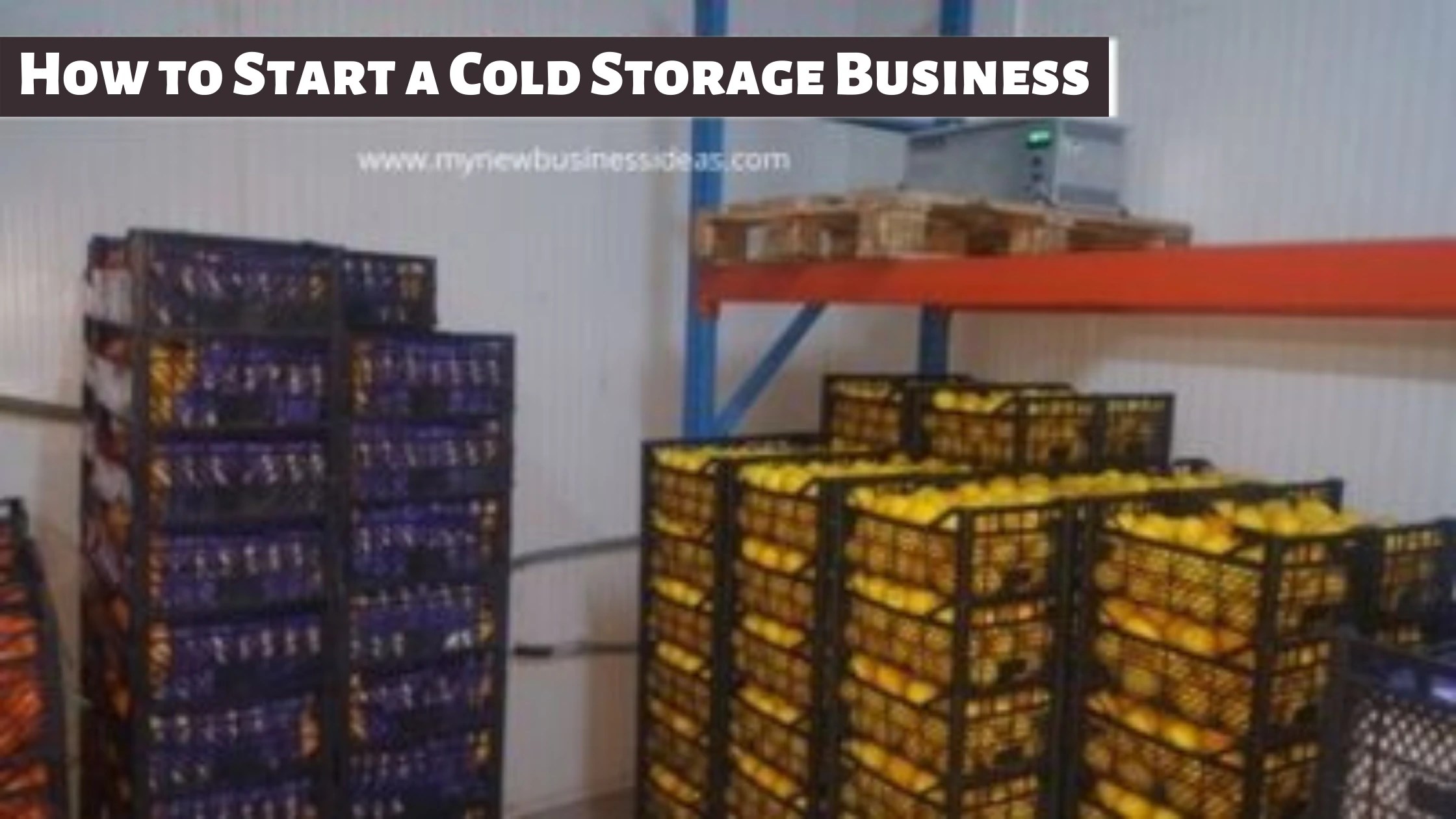 How to Start a Cold Storage Business » Complete Business Plan