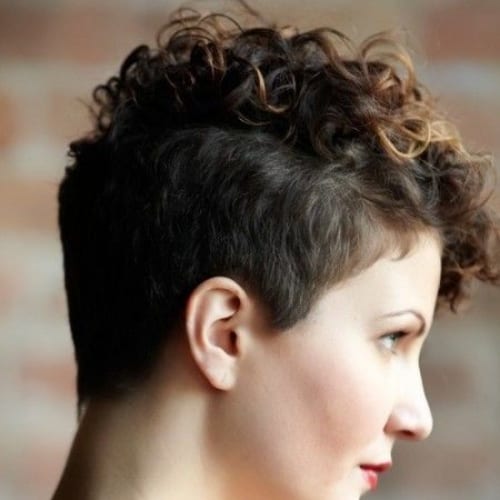 50 Delightful Curly Pixie Cut & Style Inspiration My New Hairstyles