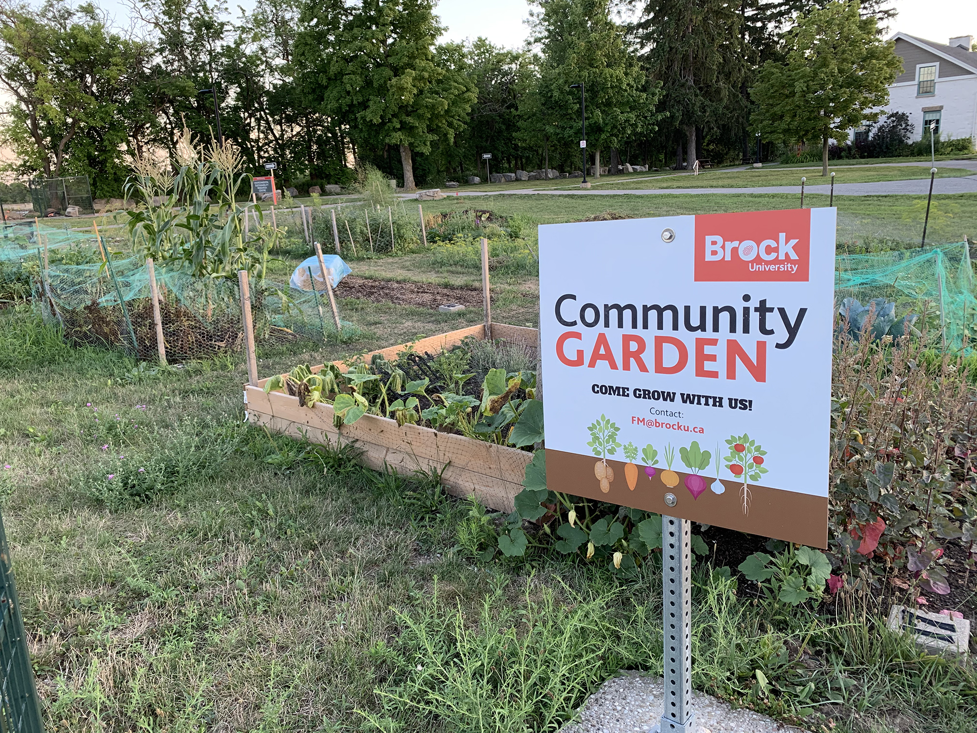 Community Gardens myPelham