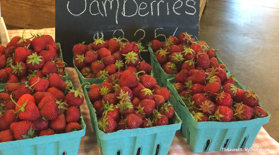 Did someone say Ohio strawberries? My Ohio Fun