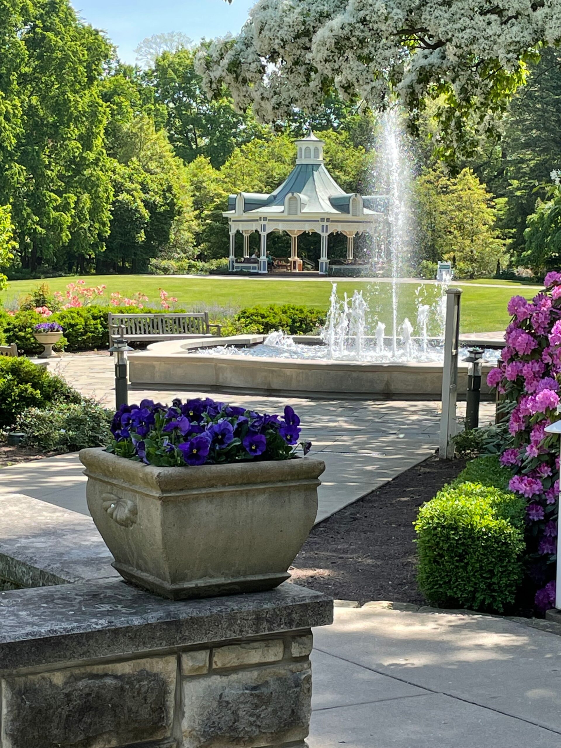 Flower Garden In Youngstown Ohio Best Flower Site