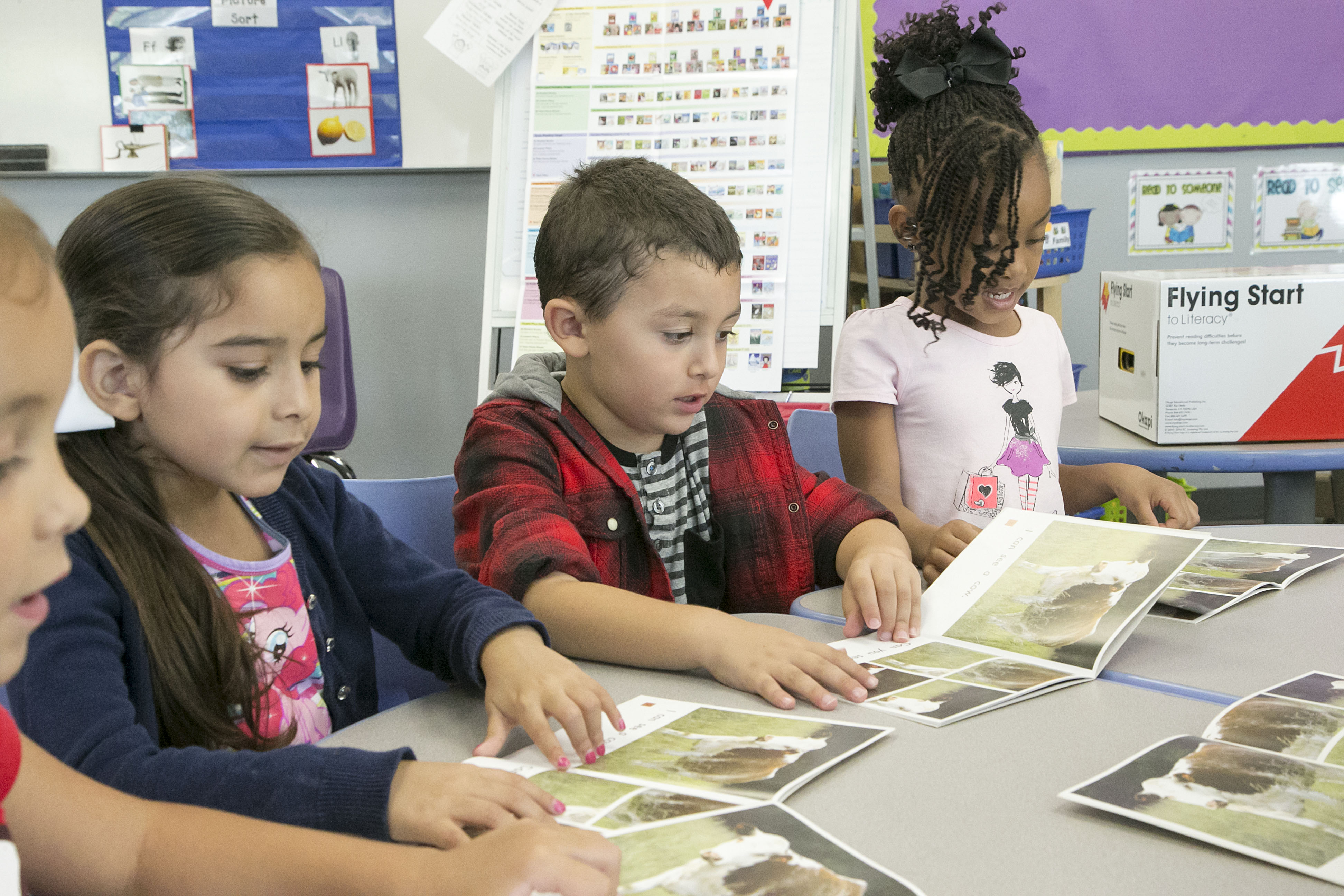 Shared Reading and Guided Reading Learning in Context