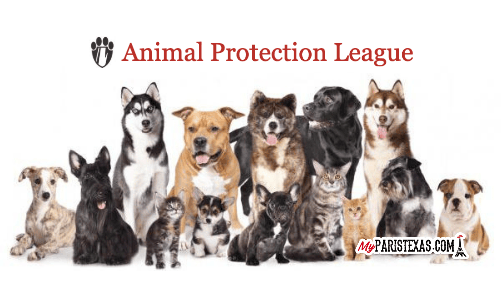 Animal Protection League to provide lowcost vaccinations, spay/neuter