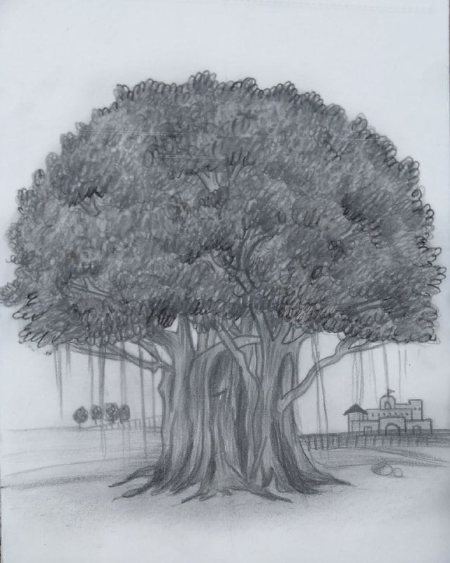 Learn To Make Banyan Tree Pencil Drawing