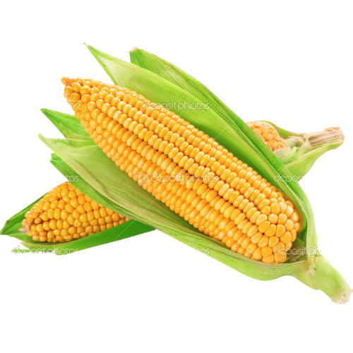 Food & Drink Trivia Crossword Salad Ingredients My Perfect Puzzles