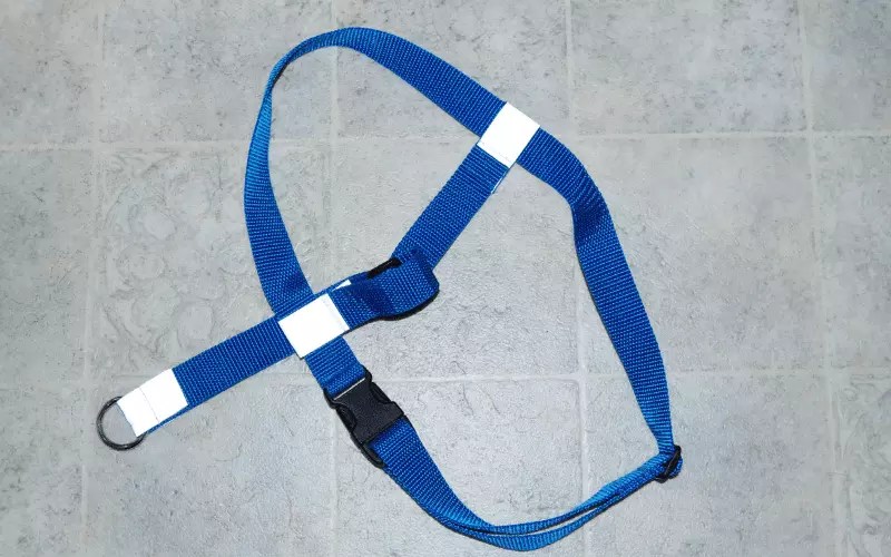 The 5 Best Escape Proof Dog Harness Reviews & Buying Guide