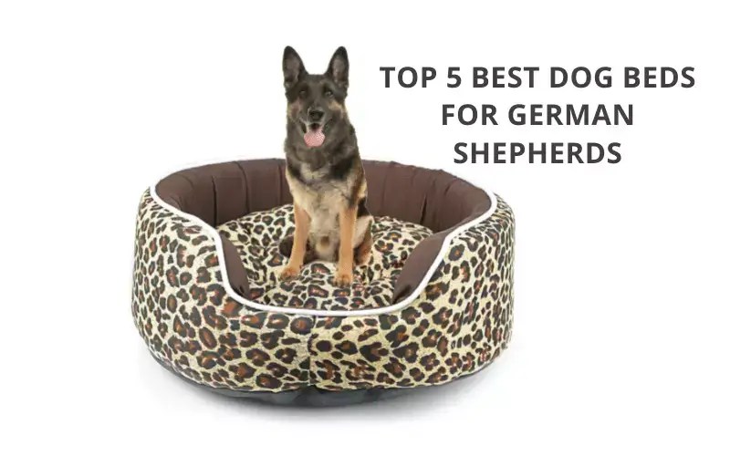 Top 5 Best Dog Beds For German Shepherds Reviews & Buying Guide