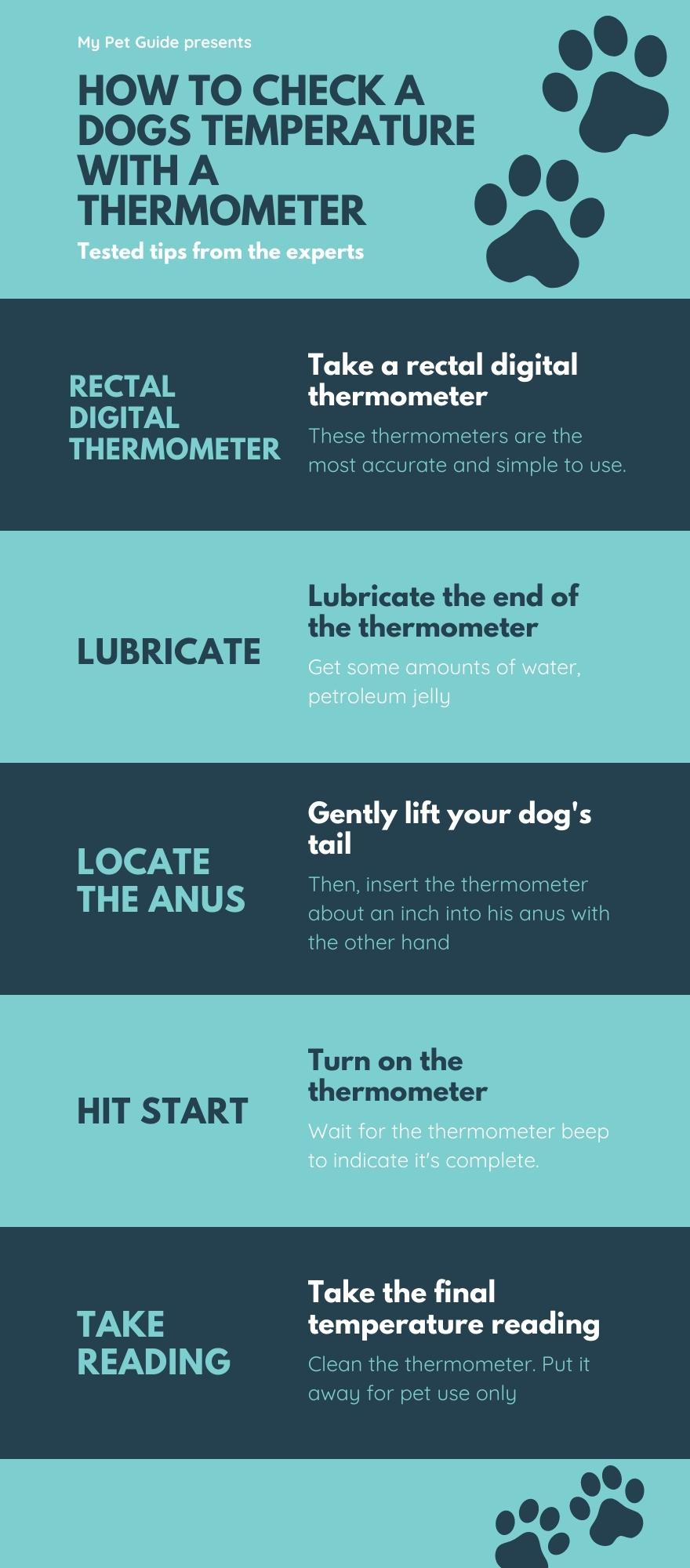 How To Check A Dogs Temperature 5 Step Guide