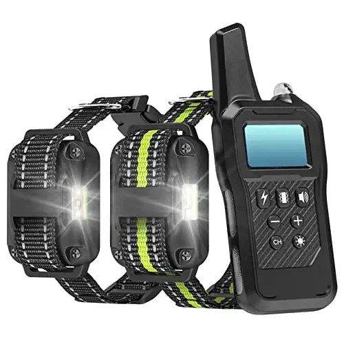10 Best Shock Collar For Husky Detailed Reviews