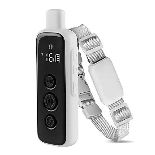 20 Best Shock Collars For Pitbulls Reviews & Buying Guide