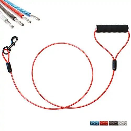 8 Best Dog Leash For Chewers Expert Reviews