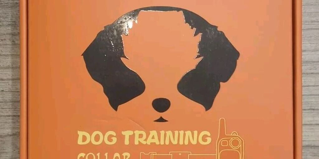 Finding The Right Shock Collar For Dogs Under 10 Pounds