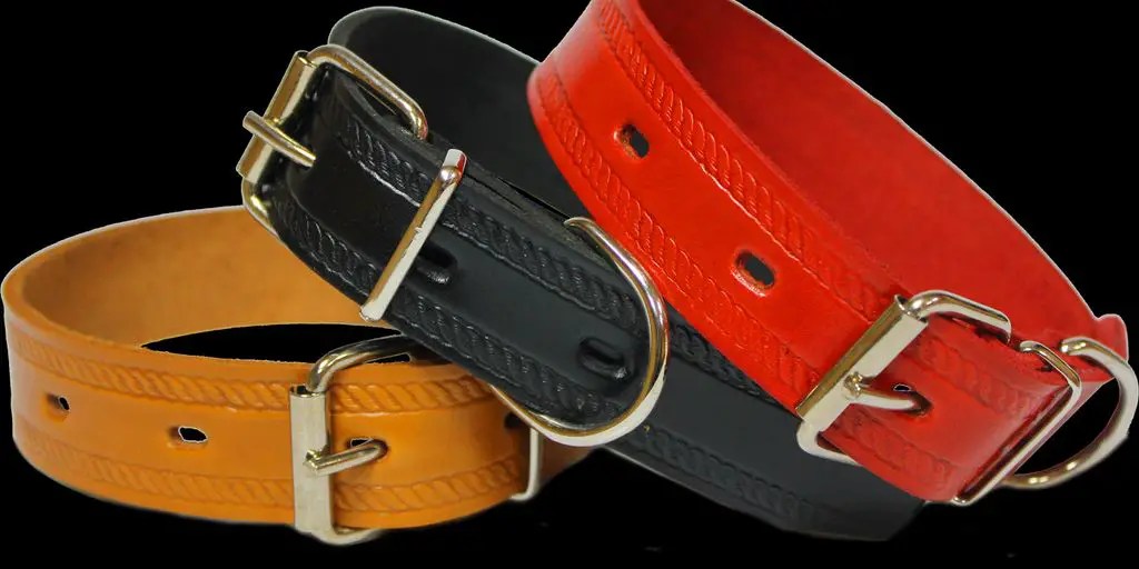 How To Prevent Collar Irritation On Your Dog's Neck