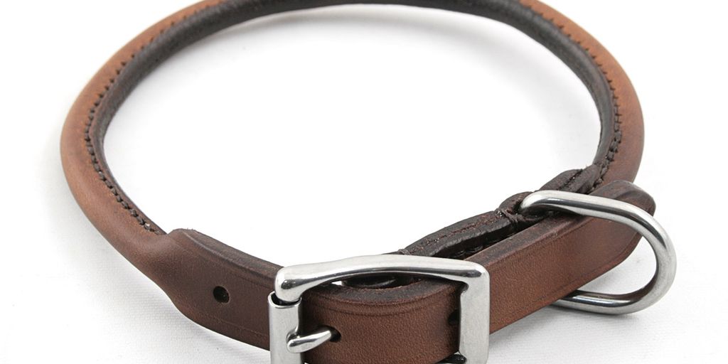 Finding The Right Shock Collars For Medium Dogs