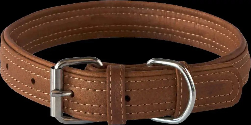 Choosing The Right Collars For Toy Dogs A Buyer’s Guide