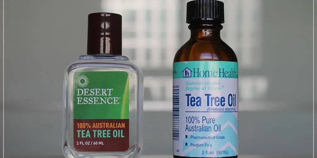 Is Tea Tree Oil Safe For Dogs?