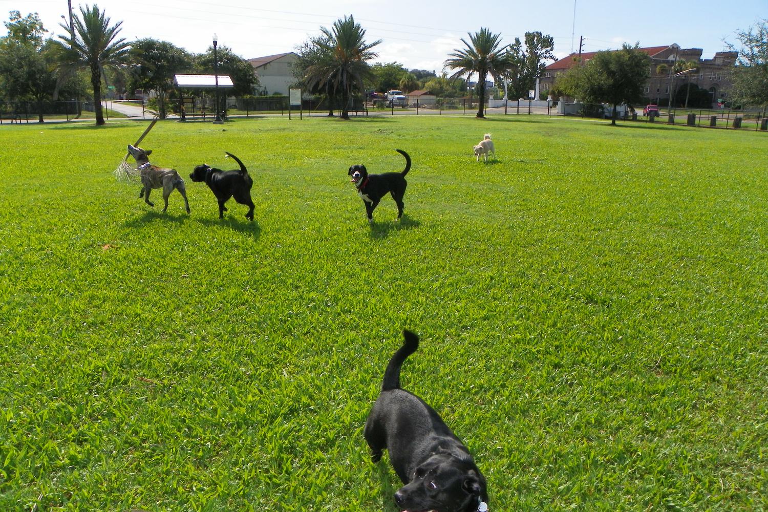 Confederate Point Dog Park review in Jacksonville, Florida MyPetMaps
