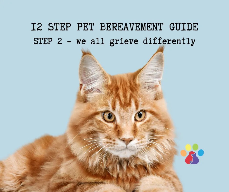 Pet Bereavement Guide Step 2 we all grieve differently