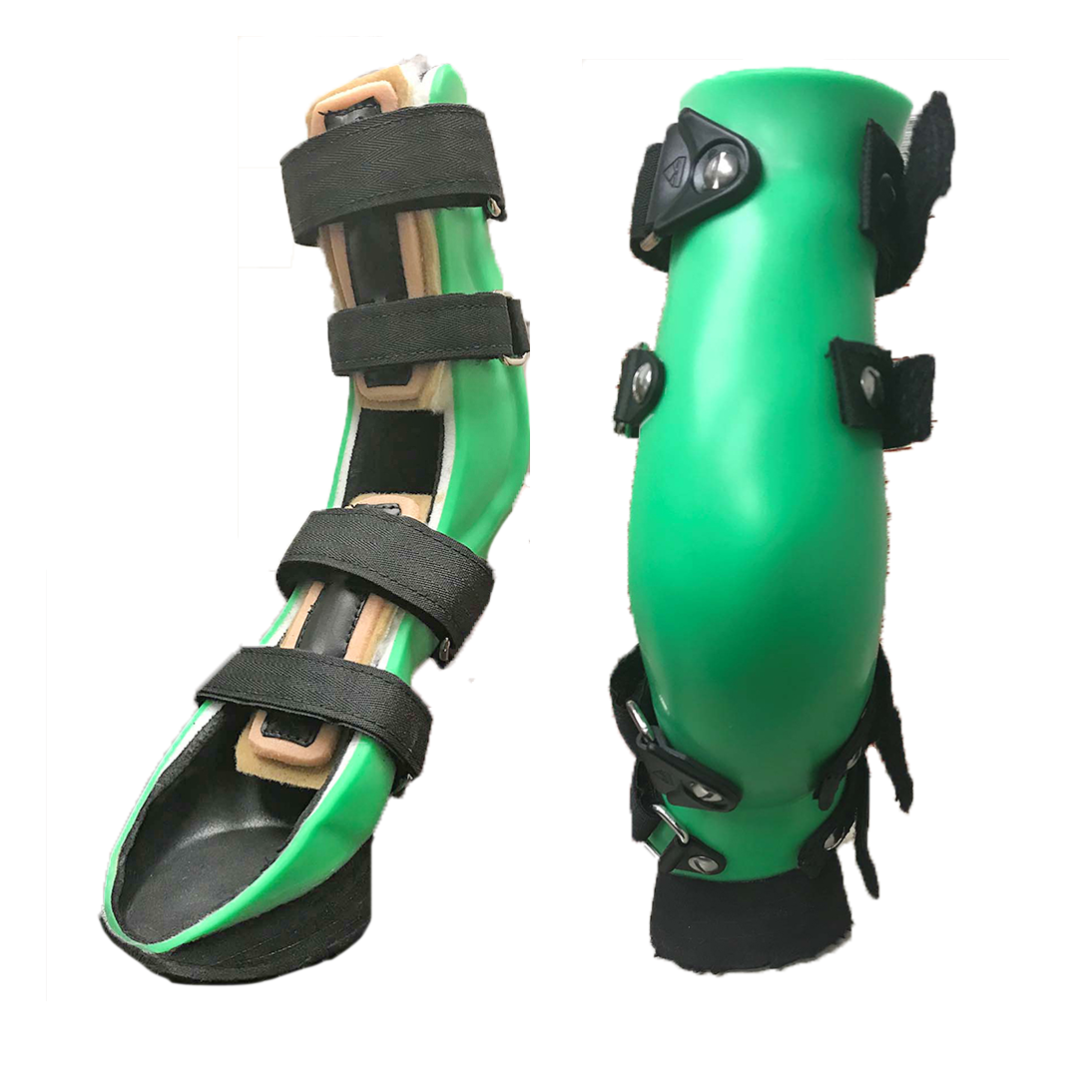 Dog Ankle Braces Canine Hock Injuries My Pet's Brace