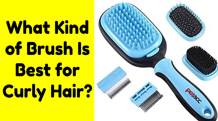 Best Dog Brush for Curly Hair (2024) My Pets Guide
