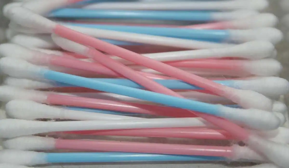 Why Does My Cat Like Q Tips My Pets Guide