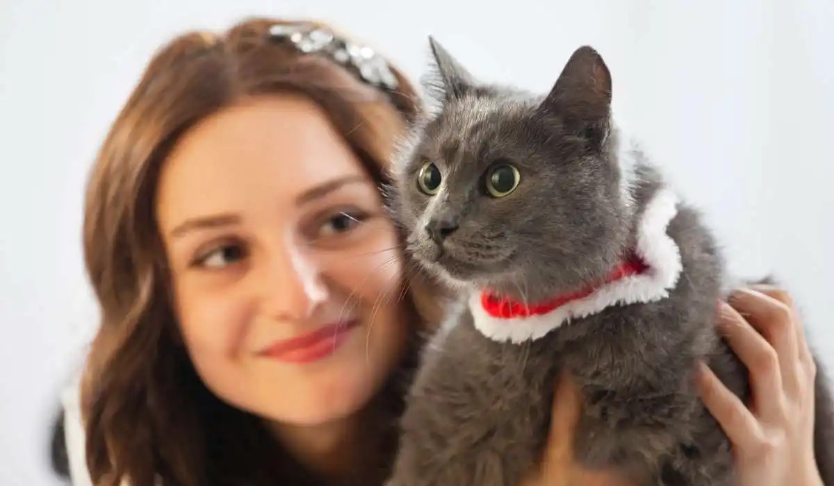 Why Does My Cat Sit on My Face My Pets Guide