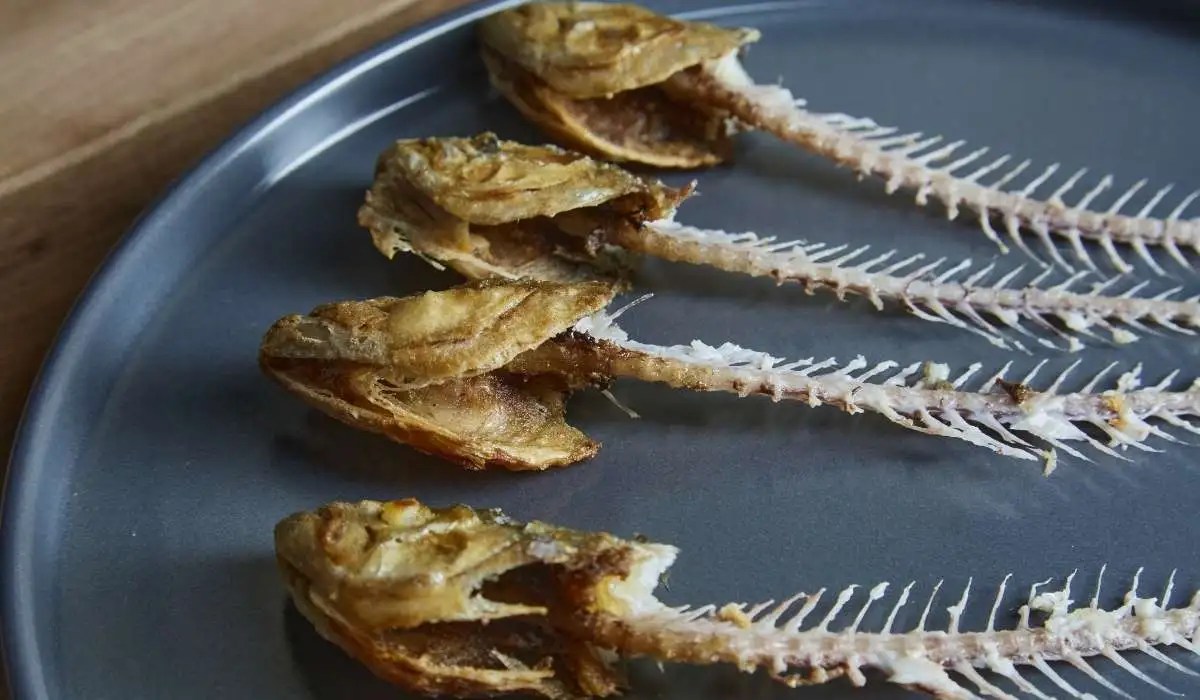 Can Cat Eat Fish Bone My Pets Guide