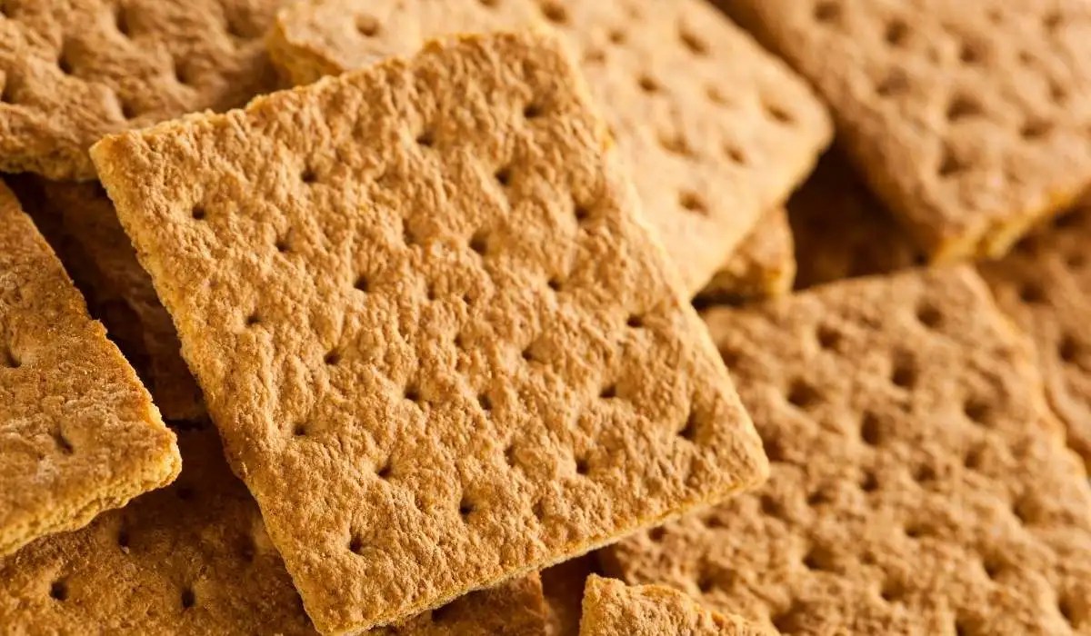Can Cat Eat Graham Crackers My Pets Guide
