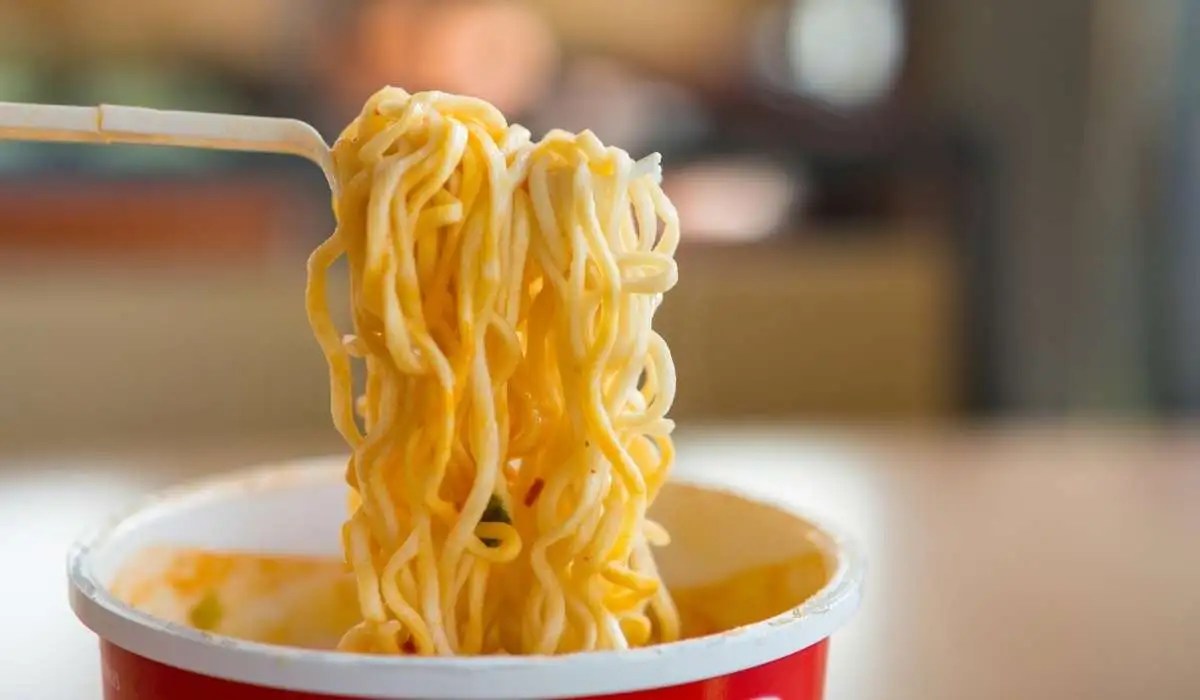 Can Cat Eat Instant Noodles My Pets Guide