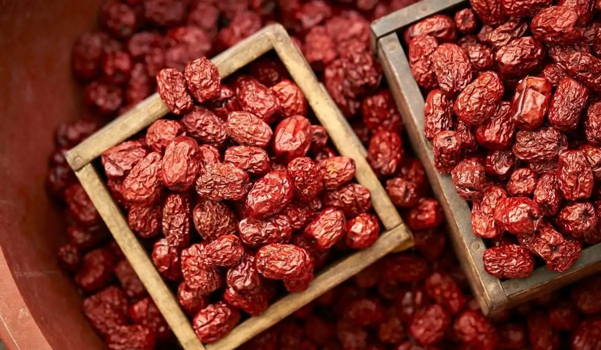 Can Cat Eat Jujube My Pets Guide