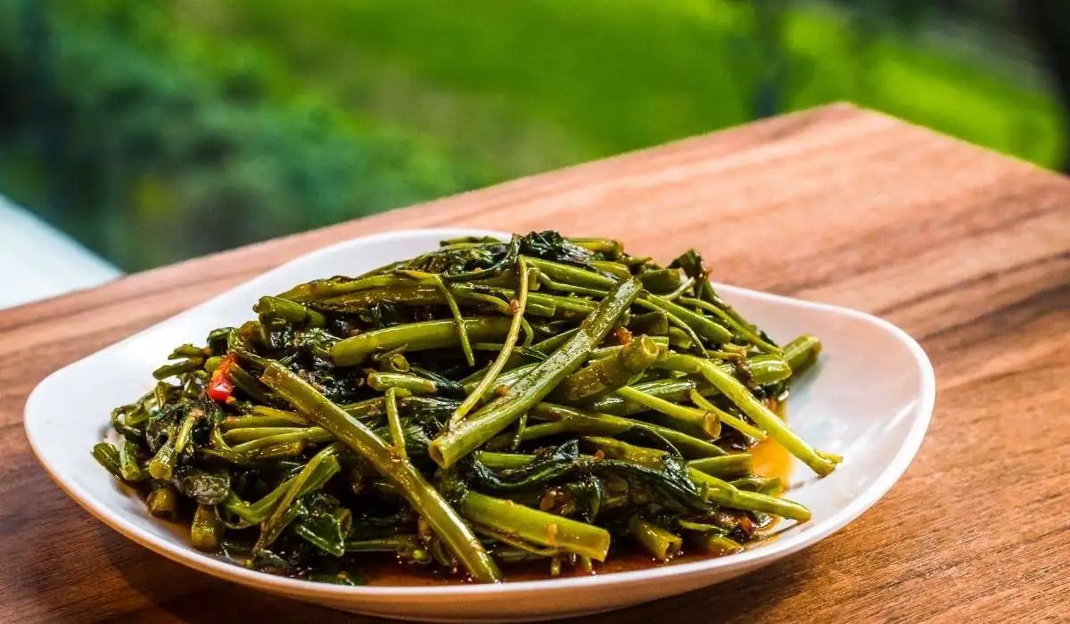 Can Cat Eat Kangkong My Pets Guide