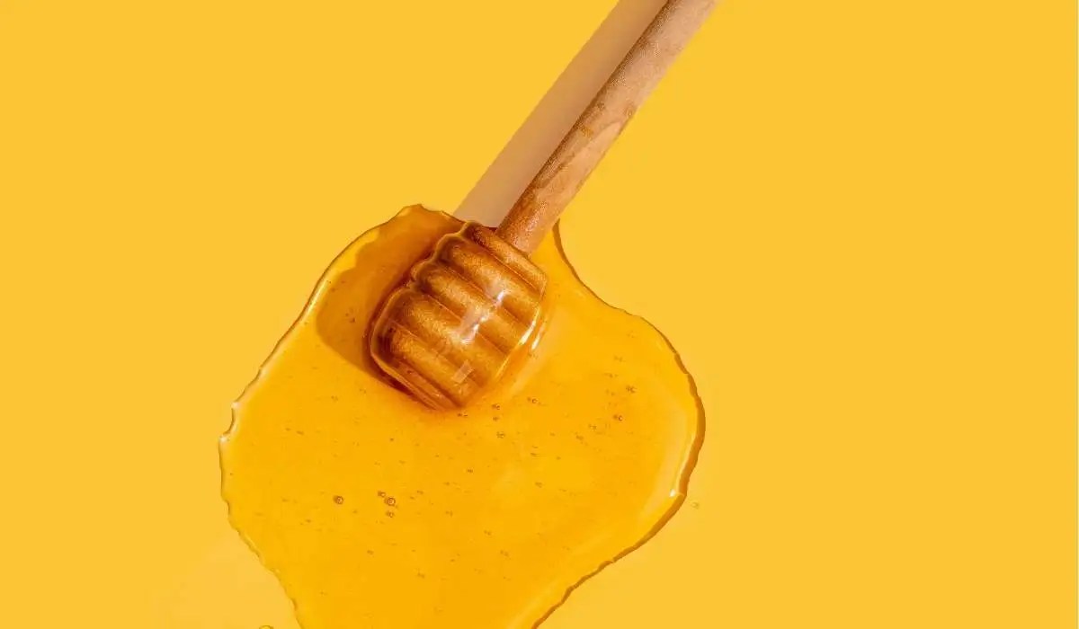 Can Cats Eat Honey My Pets Guide