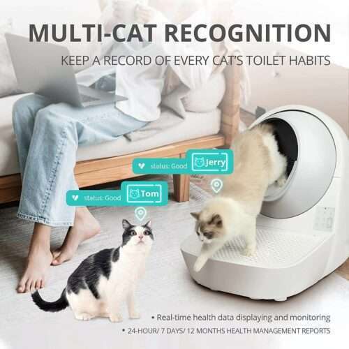 The Best Automatic SelfCleaning Cat Litter Box For Your Cat cat and