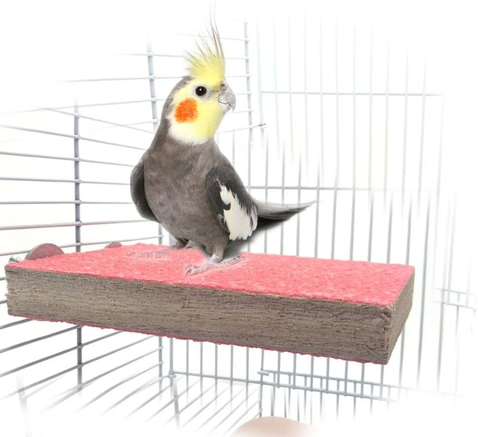 The Best Perches for Cockatiels Find the Perfect Perch for Your Pet!