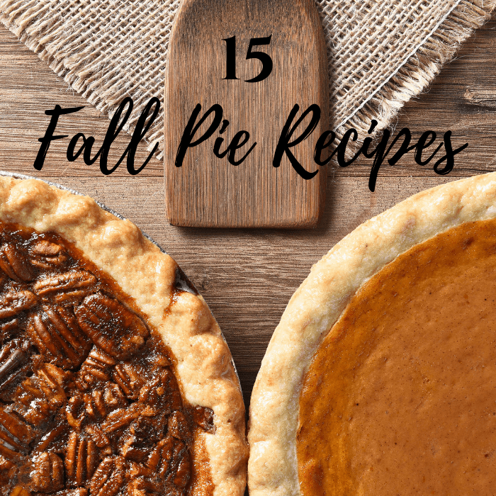15 Amazing Fall Pie Recipes MM 229 My Pinterventures