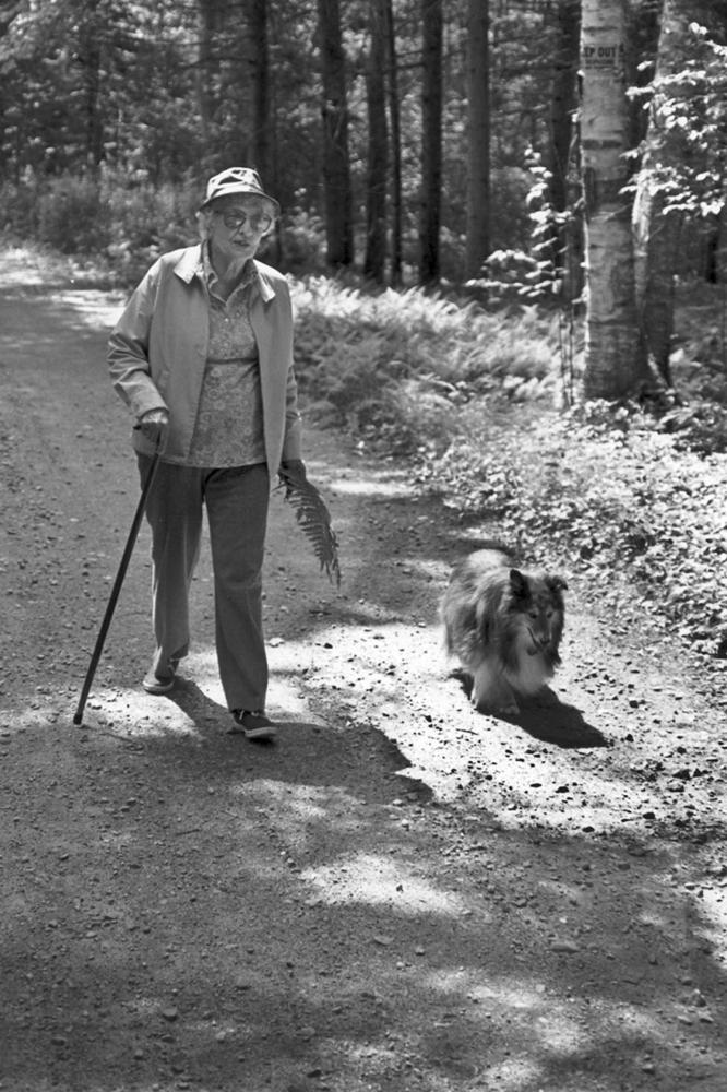 May Sarton Poems > My poetic side