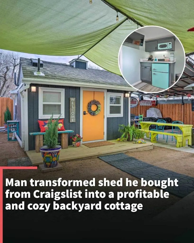 Shed transformation bought from Craigslist