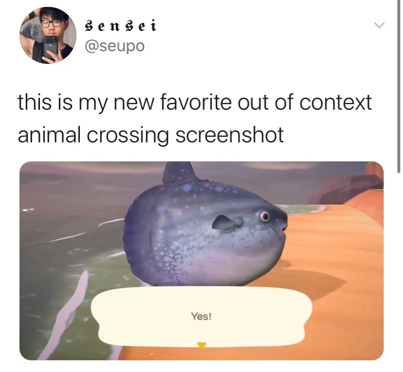 Some Of The Best Animal Crossing New Horizons Memes myPotatoGames
