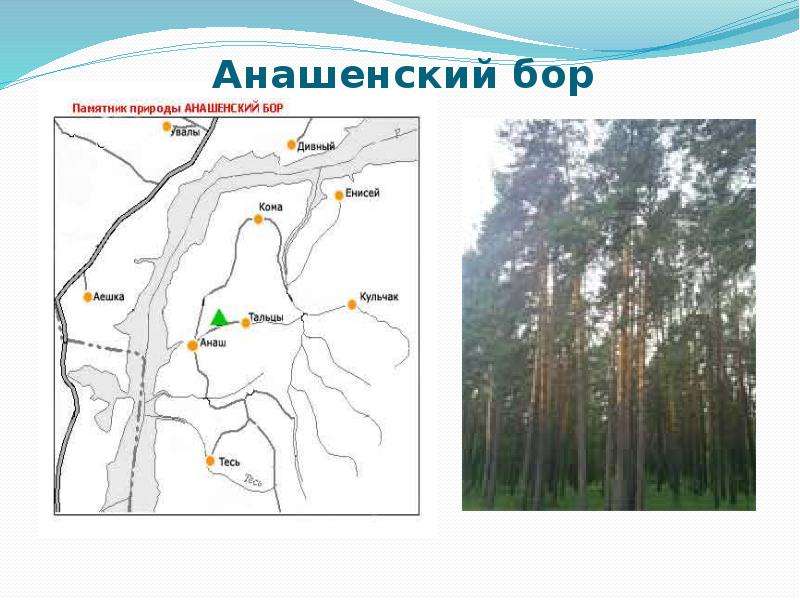 Памятники природы Красноярского края скачать презентацию