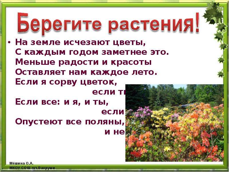 Рисунок На Тему Береги Растения forumkiroff
