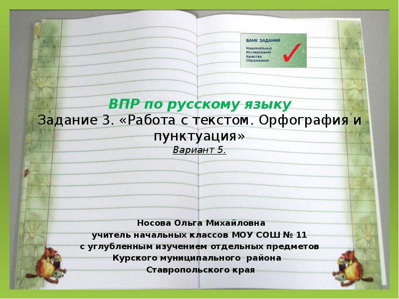 Работа с текстом. Орфография и пунктуация. ВПР по русскому языку