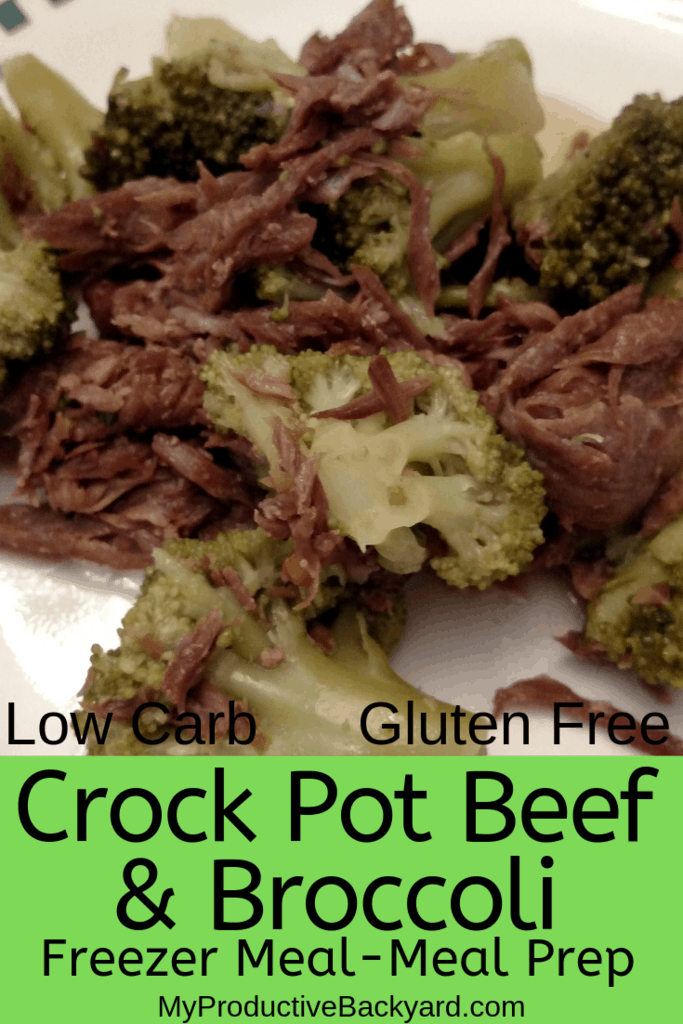 Crock Pot Beef and Broccoli Freezer Meal