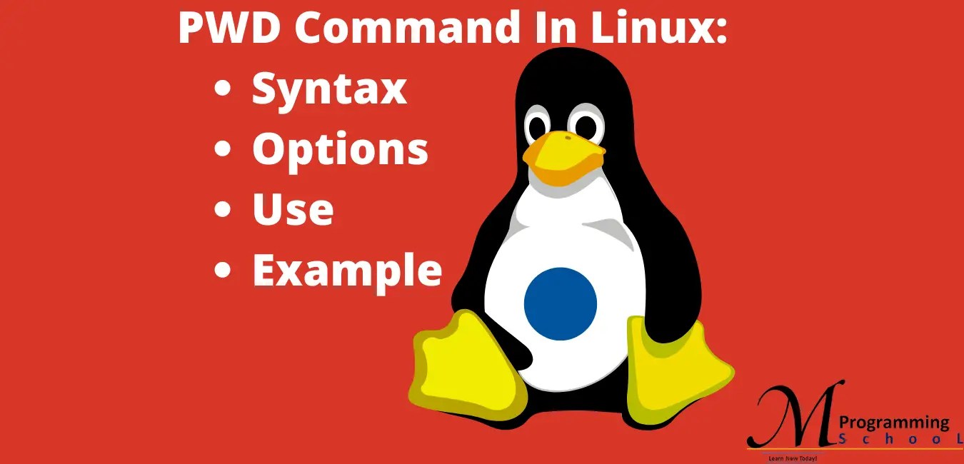PWD Command In Linux Syntax, Options, Use, And Example