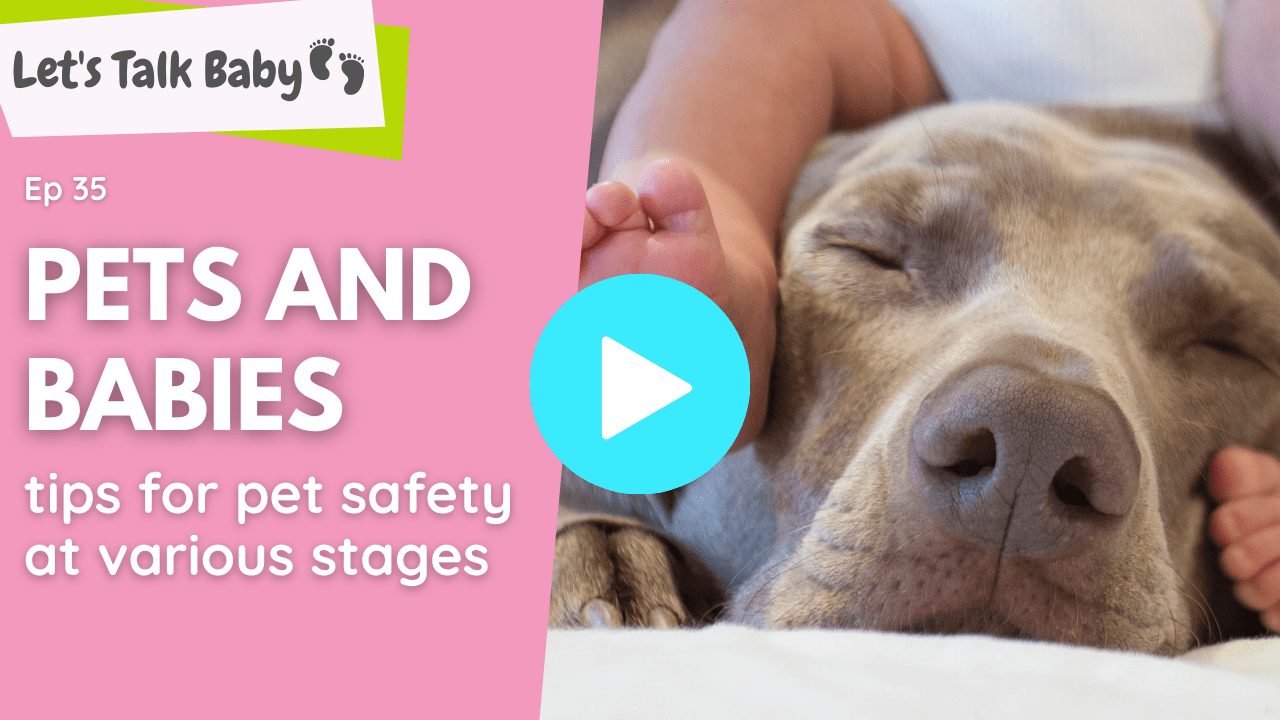 Are Babies Safe Around Dogs