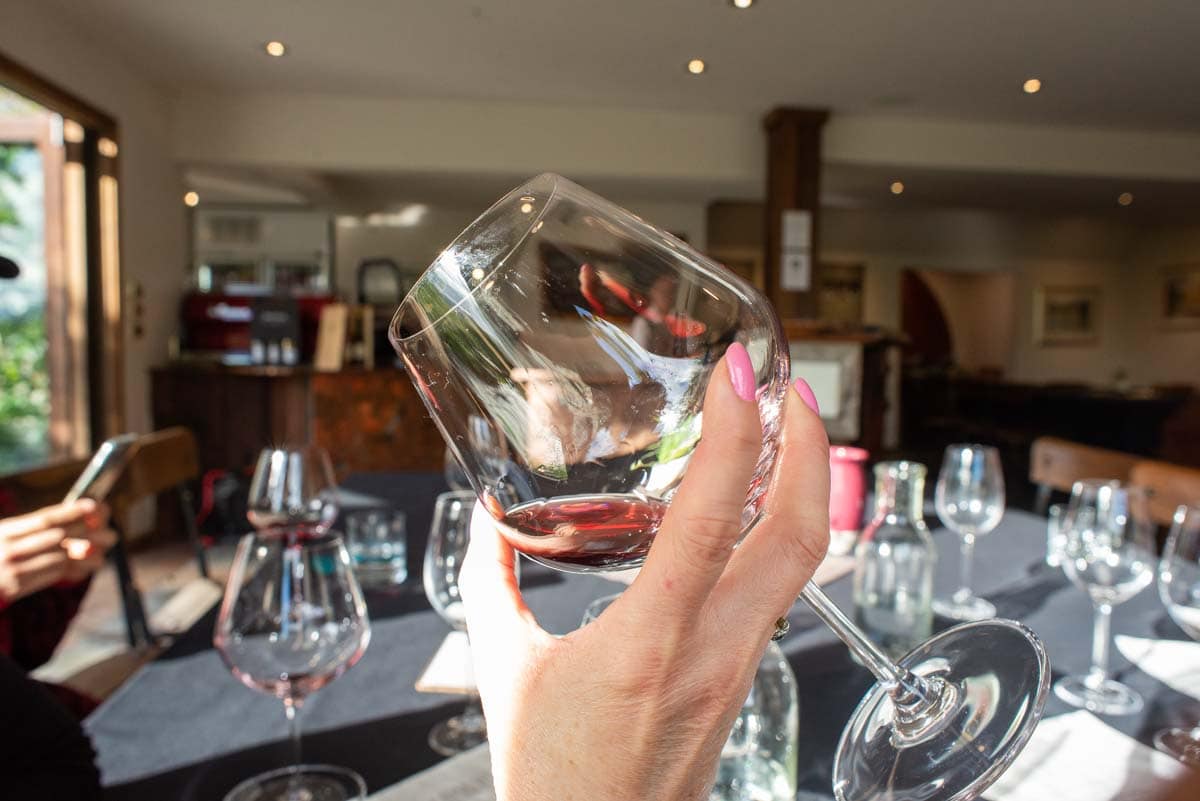 7 BEST Wine Tours in Queenstown & How to Pick One My Queenstown Diary