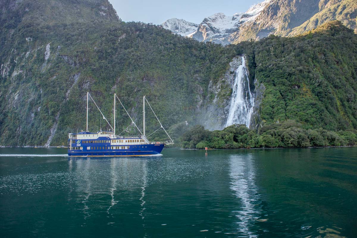 7 BEST Milford Sound Tours from Queenstown (2023 Review & Guide!)