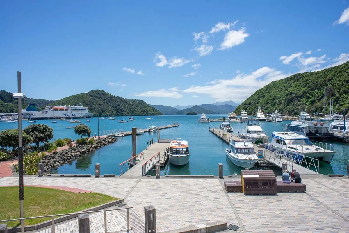 11 BEST Stops on the Drive from Kaikoura to Picton Road Trip Guide