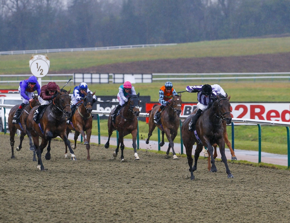 Trainer who landed 1361 treble at Lingfield on Saturday sends 1 runner
