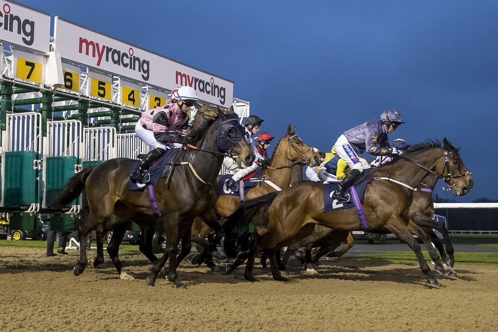 Wolverhampton Gamble Horse backed from 161 into 112 for top trainer