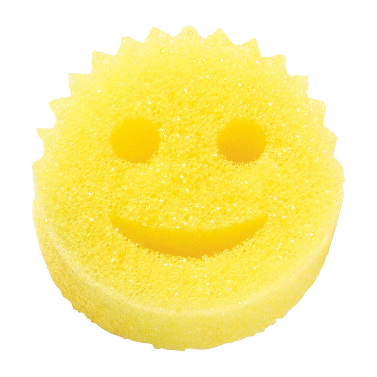 Scrub Daddy Shark Tank's Biggest Success Story Review